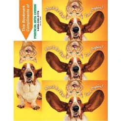 Medical Arts Press Veterinary Laser Postcards Humorous 3-Up Laser Postcards With Bookmark, That Time Again, 100/Pk