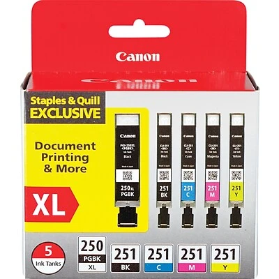 Canon PGI 250 XL/CLI-251 Special Edition Black/Color Ink Cartridge, High Yield, 5/Pack (6432B011) Canon PGI 250 XL/CLI-251 Special Edition Black/Color Ink Cartridge, High Yield, 5/Pack (6432B011) -Avery shop s0757565 s7