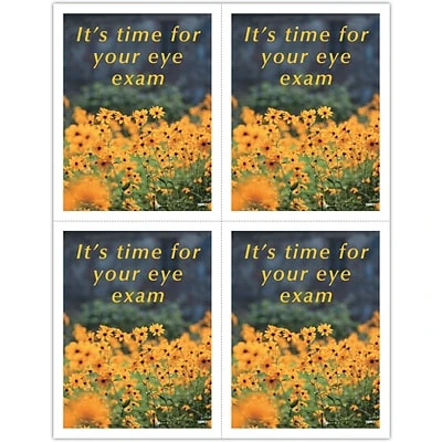 Scenic Postcards; for Laser Printer; Photo, Yellow Meadow, 100/Pk Medical Arts Press Eye Care Laser Postcards Scenic Postcards; For Laser Printer; Photo, Yellow Meadow, 100/Pk -Avery shop s0844044 s7