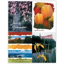 Medical Arts Press Generic Assorted Laser Postcards Generic Assorted Postcards; For Laser Printer; Floral, 100/Pk