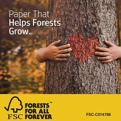 Copy & Printer Paper HP BrightWhite24 8.5" X 11" Color Copy Paper, 24 Lbs., 100 Brightness, 500 Sheets/Ream (HPB1124) 5 Copy & Printer Paper HP BrightWhite24 8.5" X 11" Color Copy Paper, 24 Lbs., 100 Brightness, 500 Sheets/Ream (HPB1124) - Image 4